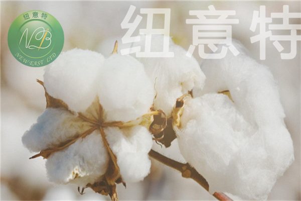  面TR格子布，滌人棉格子布面料